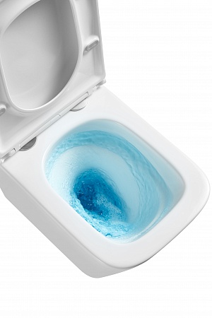 Подвесной унитаз безободковый Terminus Ватикан Monolit 490х340 белый Белгород - фото 8 Подвесной унитаз безободковый Terminus Ватикан Monolit 490х340 белый Белгород - фото 8