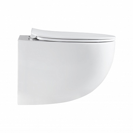 Подвесной унитаз безободковый Terminus Енисей Monolit 560х390 белый Белгород - фото 4 Подвесной унитаз безободковый Terminus Енисей Monolit 560х390 белый Белгород - фото 4