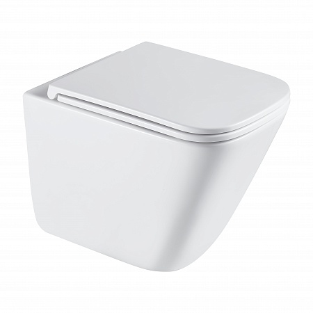 Подвесной унитаз безободковый Terminus Ватикан Monolit 490х340 белый Белгород - фото 2 Подвесной унитаз безободковый Terminus Ватикан Monolit 490х340 белый Белгород - фото 2