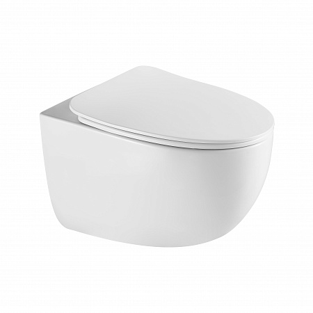 Подвесной унитаз безободковый Terminus Енисей Monolit 560х390 белый Белгород - фото 2 Подвесной унитаз безободковый Terminus Енисей Monolit 560х390 белый Белгород - фото 2