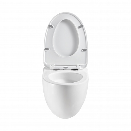 Подвесной унитаз безободковый Terminus Енисей Monolit 560х390 белый Белгород - фото 5 Подвесной унитаз безободковый Terminus Енисей Monolit 560х390 белый Белгород - фото 5