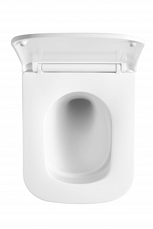 Подвесной унитаз безободковый Terminus Ватикан Monolit 490х340 белый Белгород - фото 3 Подвесной унитаз безободковый Terminus Ватикан Monolit 490х340 белый Белгород - фото 3